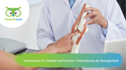 Artischocken für Gelenke und Knochen: Unterstützung der Beweglichkeit