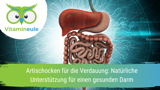 Artischocken für die Verdauung: Natürliche Unterstützung für einen gesunden Darm