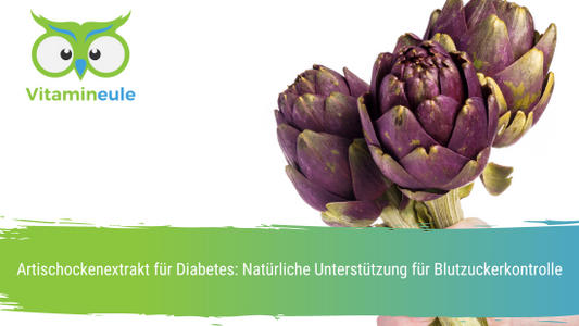 Artischockenextrakt für Diabetes: Natürliche Unterstützung für Blutzuckerkontrolle