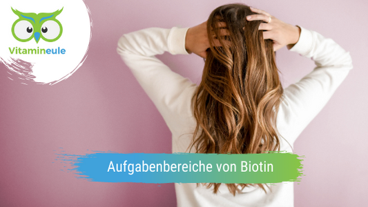 Aufgabenbereiche von Biotin