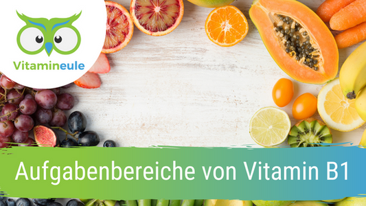 Aufgabenbereiche von Vitamin B1