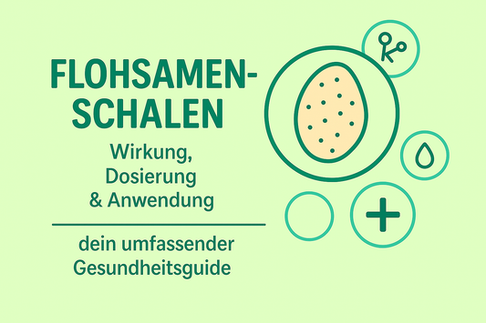 Flohsamenschalen: Wirkung, Dosierung & Anwendung – dein umfassender Gesundheitsguide