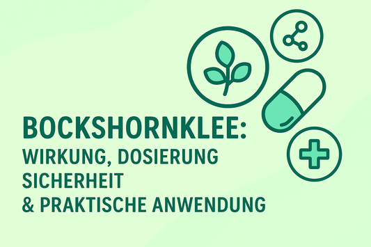 Bockshornklee: Wirkung, Dosierung, Sicherheit & praktische Anwendung