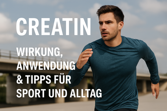 Creatin: Wirkung, Anwendung & Tipps für Sport und Alltag