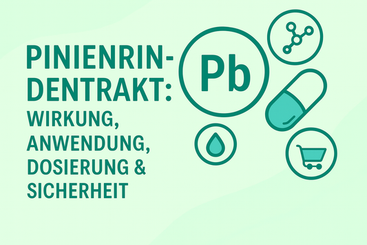 Pinienrindenextrakt: Wirkung, Anwendung, Dosierung & Sicherheit