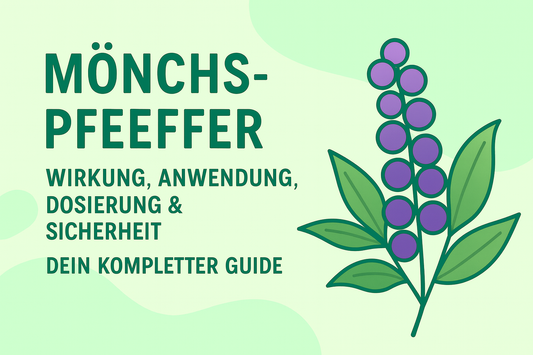 Mönchspfeffer: Wirkung, Anwendung, Dosierung & Sicherheit