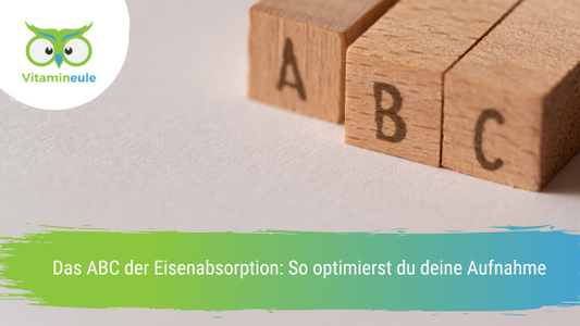 Das ABC der Eisenabsorption: So optimierst du deine Aufnahme