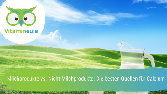 Milchprodukte vs. Nicht-Milchprodukte: Die besten Quellen für Calcium