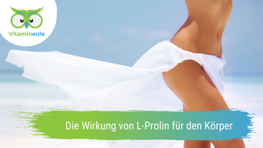 Die Wirkung von L-Prolin für den Körper