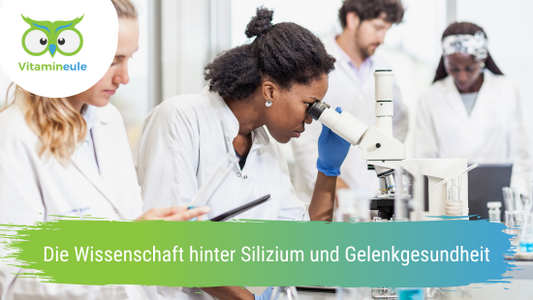 Die Wissenschaft hinter Silizium und Gelenkgesundheit