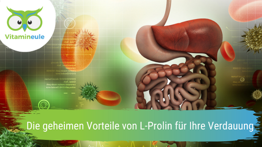 Die geheimen Vorteile von L-Prolin für Ihre Verdauung