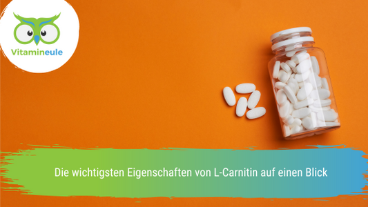 Die wichtigsten Eigenschaften von L-Carnitin auf einen Blick