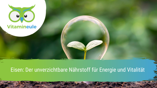 "Eisen: Der unverzichtbare Nährstoff für Energie und Vitalität"