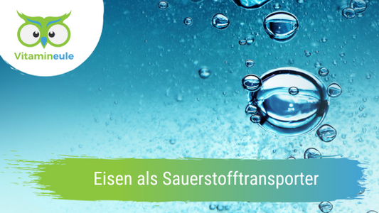 Eisen als Sauerstofftransporter