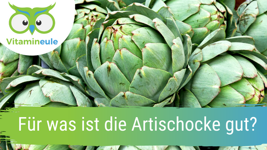 Für Was Ist Artischocke Gut mach-dich-wach.de