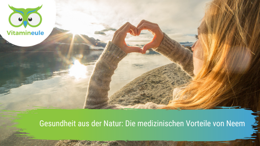 Gesundheit aus der Natur: Die medizinischen Vorteile von Neem