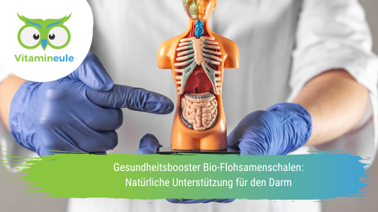 Gesundheitsbooster Bio-Flohsamenschalen: Natürliche Unterstützung für den Darm