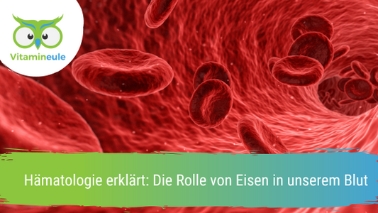 Hämatologie erklärt: Die Rolle von Eisen in unserem Blut