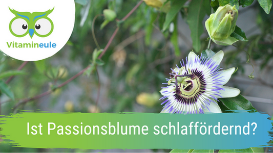 Ist Passionsblume schlaffördernd?