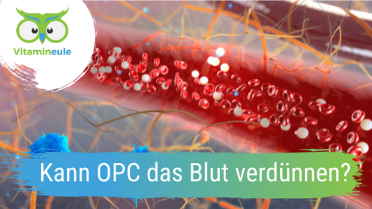 Kann OPC das Blut verdünnen?