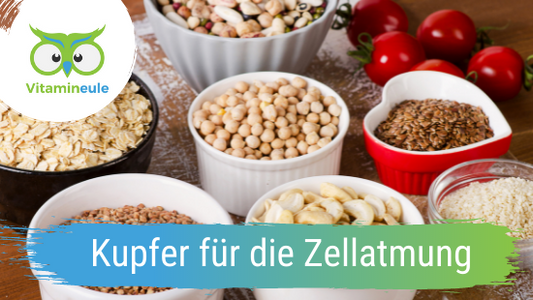Kupfer für die Zellatmung