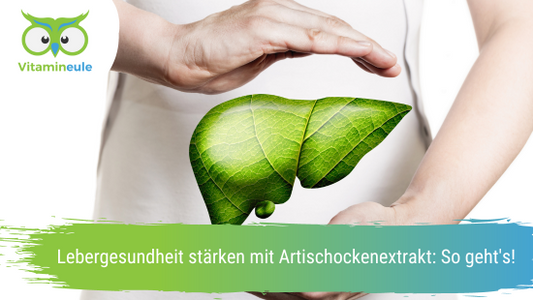 Lebergesundheit stärken mit Artischockenextrakt: So geht's!
