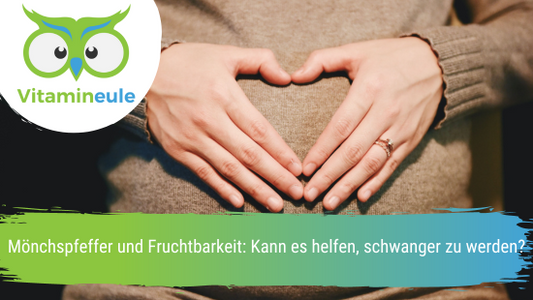 Mönchspfeffer in Form von Nahrungsergänzungsmitteln lohnt sich, da es Frauen dabei helfen kann, ihren Menstruationszyklus zu regulieren, PMS-Symptome zu mildern, hormonelle Ungleichgewichte auszugleichen und die Fruchtbarkeit zu steigern.
