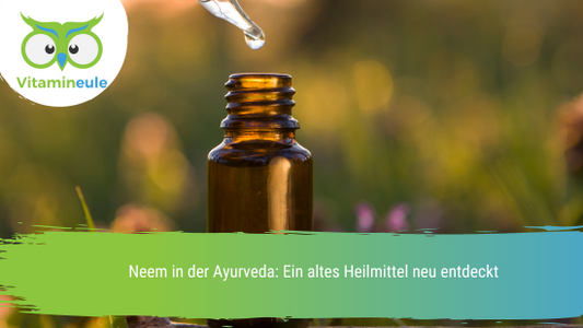 Neem in der Ayurveda: Ein altes Heilmittel neu entdeckt