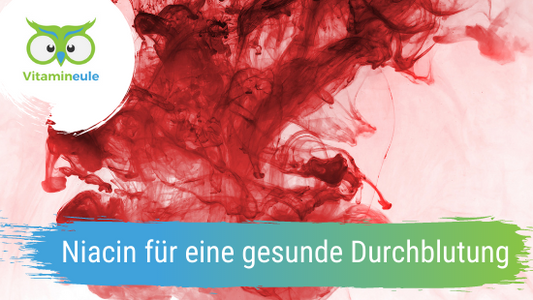 Niacin für eine gesunde Durchblutung