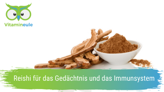 Reishi für das Gedächtnis und das Immunsystem