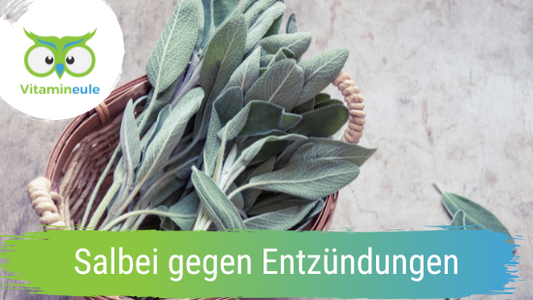 Salbei gegen Entzündungen