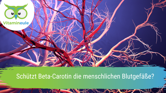 Schützt Beta-Carotin die menschlichen Blutgefäße?
