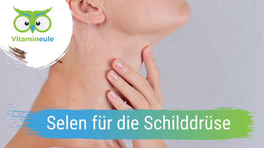 Selen für die Schilddrüse