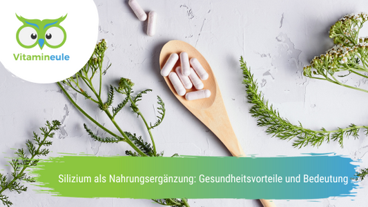 Silizium als Nahrungsergänzung: Gesundheitsvorteile und Bedeutung