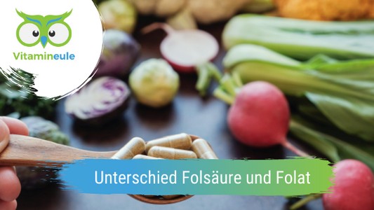 Was ist der Unterschied zwischen Folsäure und Folat?