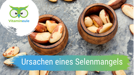 Ursachen eines Selenmangels