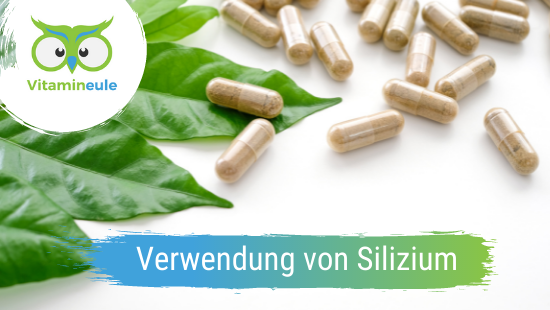 Silizium Verwendung, Wirkung, Dosierung, Lebensmittel