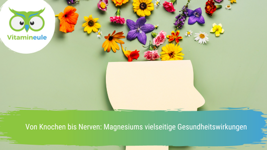 Von Knochen bis Nerven: Magnesiums vielseitige Gesundheitswirkungen
