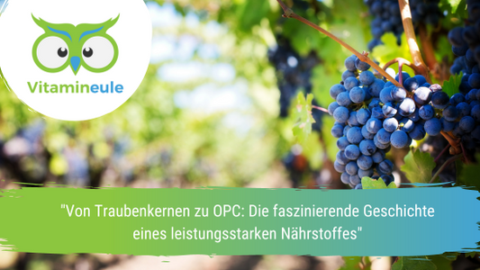 "Von Traubenkernen zu OPC: Die faszinierende Geschichte eines leistungsstarken Nährstoffes"