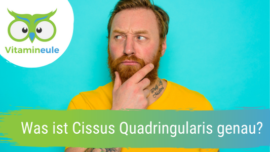 Was ist Cissus Quadringularis genau?