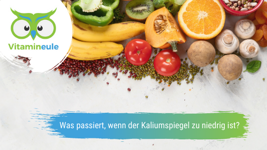 Was passiert, wenn der Kaliumspiegel zu niedrig ist?