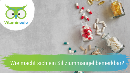 Wie macht sich ein Siliziummangel bemerkbar?