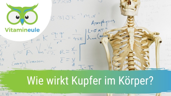 Wie wirkt Kupfer im Körper? – Mach Dich Wach! GmbH