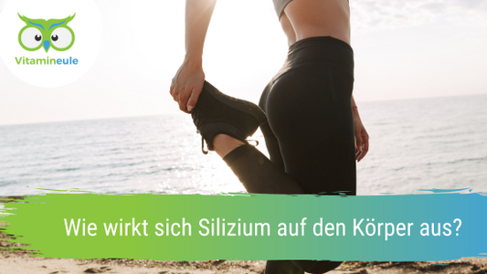 Wie wirkt sich Silizium auf den Körper aus?