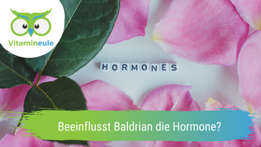 Beeinflusst Baldrian die Hormone?