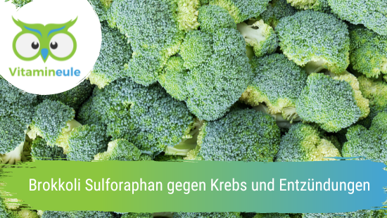 Broccoli sulforaphane against cancer and inflammation
