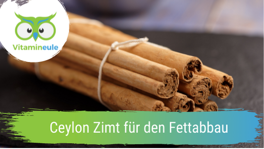 Ceylon Zimt für den Fettabbau?