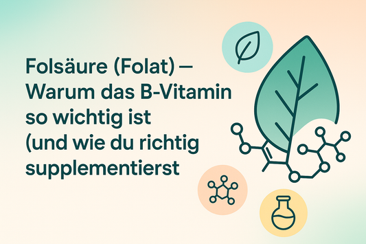 Folsäure (Folat) — Warum das B-Vitamin so wichtig ist (und wie du richtig supplementierst)
