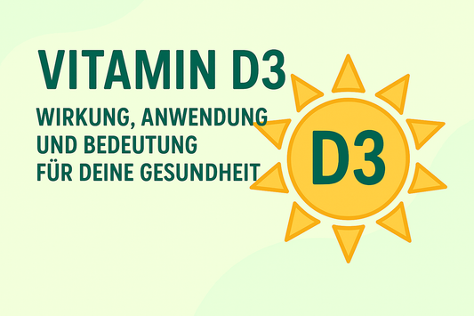 Vitamin D3: Wirkung, Anwendung und Bedeutung für Deine Gesundheit