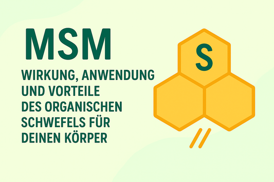 MSM: Wirkung, Anwendung und Vorteile des organischen Schwefels für Deinen Körper